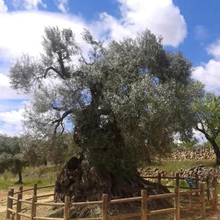 L'era Del Vent Διαμέρισμα *